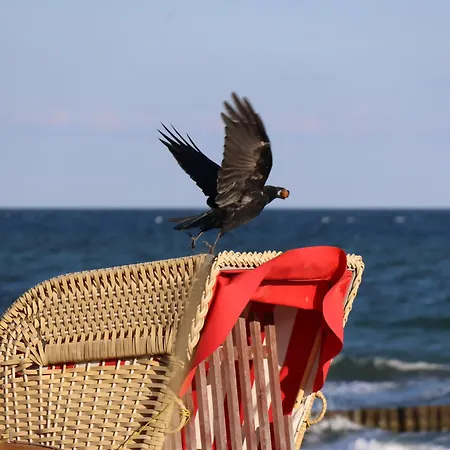 Fairschlafen Boutique Mit Hotelkomfort - Kombuese 0-12 Mit Privater Terrasse