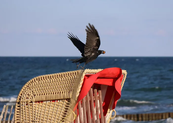 Fairschlafen Boutique Mit Hotelkomfort - Kombuese 0-12 Mit Privater Terrasse